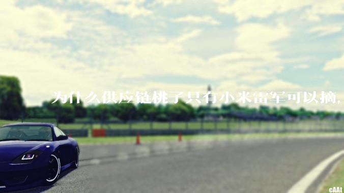 为什么供应链桃子只有小米雷军可以摘，其他人只能干瞪眼？