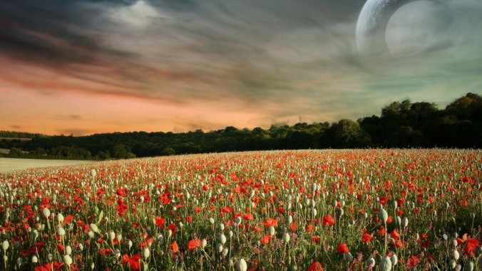 uni***真的很垃圾吗？